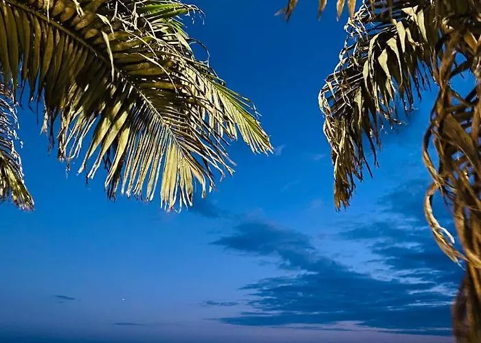 Atlantic View Lejlighed